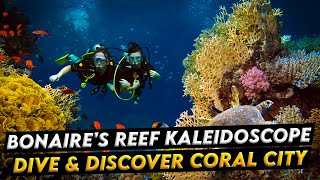 Bonaires Reef Kaleidoscope Dive [upl. by Dash]