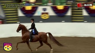 Big E Saddle Seat Show 15  Class 5  3 Gaited Country Pleasure Open [upl. by Ltsyrk102]