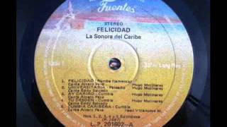 Felicidad  La Sonora del Caribe [upl. by Balf]