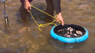 How to catch whiting with yabbies [upl. by Yboj37]