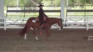 Appaloosa Horse Show Event  Part9 [upl. by Atilrak231]