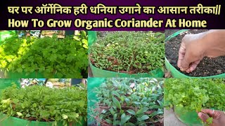 घर पर ऑर्गेनिक हरी धनिया उगाने का आसान तरीकाHow To Grow Organic Coriander At Home [upl. by Nerraw]