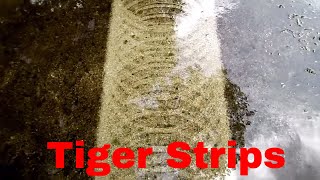 Pressure Washing Surface Cleaner stripes how and why [upl. by Nnoj]