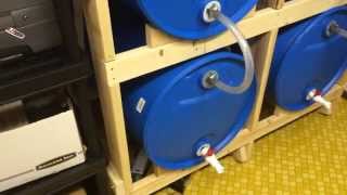 55 Gallon Water Storage Part 4  Adding More Barrels [upl. by Ayita]