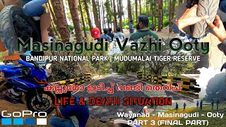 മസിനഗുഡി വഴി ഊട്ടിയിലേക്ക് BANDIPUR  MUDUMALAI  LIFE amp DEATH  Wayanad  Masinagudi  Ooty PART 3 [upl. by Oicangi]