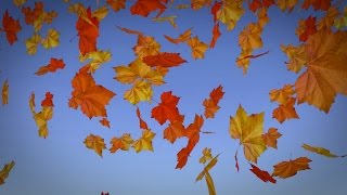 Blender 272 Tutorial  Falling Leaves [upl. by Onyx179]