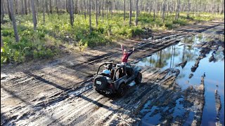 Osceola National Forest  Shooting amp Mudding [upl. by Kayne]