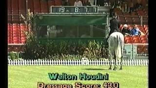 Badminton Horse Trials 1993 [upl. by Zara]