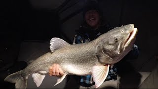 Ice Fishing Trophy Lake Trout UNDERWATER FOOTAGE [upl. by Einaled]