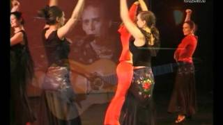 Flamenco tanzen lernen in der Tanzschule Berlin  TanzZwiEt [upl. by Croft856]