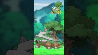 Pokemon Design and Biology  TURTWIG GROTLE TORTERRA pokemon [upl. by Ellennod]