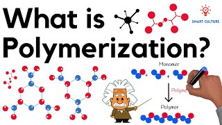 What is Polymerization [upl. by Sapienza]