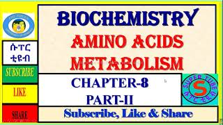 2 Amino acid metabolism transamination deamination biochemistry metabolism [upl. by Chastain566]