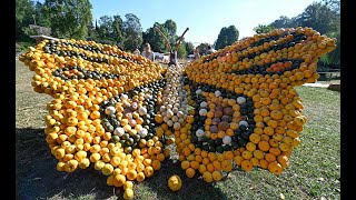 Kürbisausstellung Ludwigsburg 2022 Ludwigsburg Kürbisfest Kürbisfiguren Kinder Kanal Ludwigsburg [upl. by Kailey979]