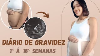 DIÁRIO DE GRAVIDEZ 🤰🏽♥️ como descobrir a gravidez  susto na 10° semanas  e muito mais [upl. by Priest]