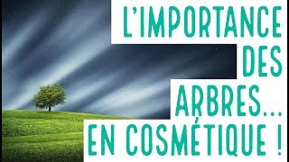 Faire des cosmétiques avec des arbres  Challenge accepted  évènement quotAux Arbres quot [upl. by Trevor]