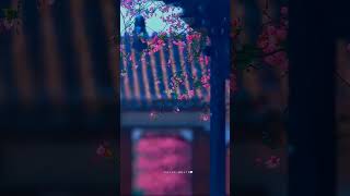 Nee Sanihake Bandare Kannada Song🤍🎧quotshortsvideo shortsfeed videos video viralshorts [upl. by Ahtrim]