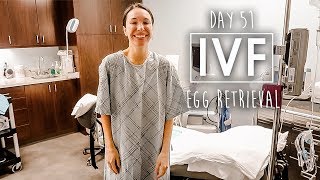 IVF Egg Retrieval Day  How Many Eggs Did We Get [upl. by Anrat688]