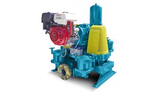 How To Choose The Right Double Diaphragm Pump  Wastecorp [upl. by Anastas]