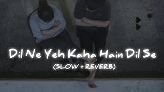 Dil Ne Yeh Kaha Hain Dil Se  Slowed and reversed  Alka yagnik amp sonu nigam [upl. by Dnob]