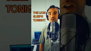 THE LION SLEEPS TONIGHT WIMOWEH [upl. by Oletha16]