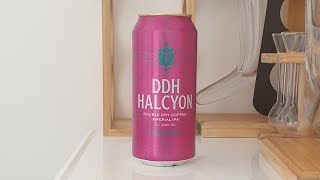 Beer Dad 2890 Thornbridge DDH Halcyon [upl. by Marys]