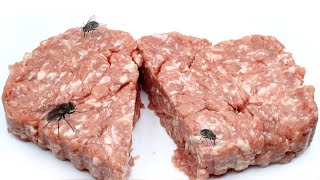 Timelapse  MINCED MEAT with FLY MAGGOTS [upl. by Susana]