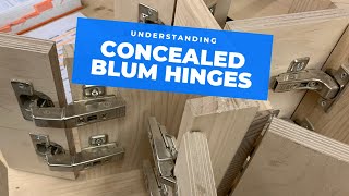 All the main Blum hinge types explained [upl. by Zilvia]