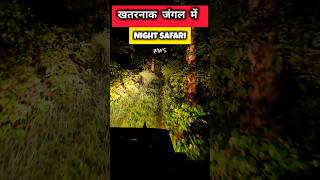 Dangerous Night Safari  In Search of Tiger  Rukadh Gate  Pench Tiger Reserve  Monsoon safari [upl. by Corry]