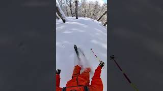 Happy Cruiser 🚢 Patagonia Lenga Tree Skiing Yesterday 😄🌳❄️ [upl. by Pinkerton]