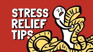 Stress Management Strategies Ways to Unwind [upl. by Eesac323]