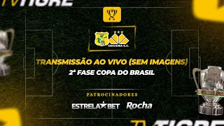 BRASILIENSE x CRICIÚMA  2ª FASE DA COPA DO BRASIL 2024 SEM IMAGENS [upl. by Roberto302]