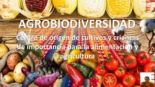 Protocolo de Nagoya recursos genéticos de la biodiversidad ÁVILA Rosiemarie 15 de marzo de 2023 [upl. by Edals]