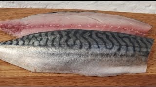 How To Fillet A MackerelAnd Cook It In Real TimeMackerel [upl. by Ynaoj939]