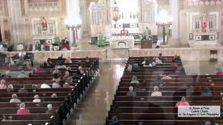 Homily  Rev Msgr Hans Brouwers Pastor St Katharine of Siena  Wayne PA  Oct 17 2021 [upl. by Illah]