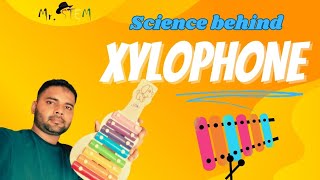 Xylophone Secrets Unlocking the Power of Pitch 🎶🔍🪇  Mr STEM India [upl. by Stimson552]