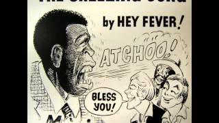 HEY FEVER  The Sneezing Song Original 12 Mixwmv [upl. by Hobard]