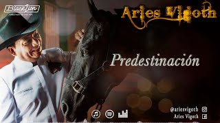 Predestinación  Aries Vigoth Video Lyric Oficial [upl. by Merta]