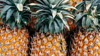 अनानास के फायदे  benefits of pineapple  ananas khane ke fayde  Creator Rahim  pineapple [upl. by Arianne]