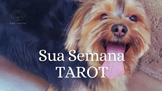 Segunda Mística  Próximos 7 dias Tarot [upl. by Balsam628]