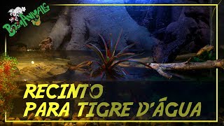 Recinto para Tigre Dágua [upl. by Nahtahoj]