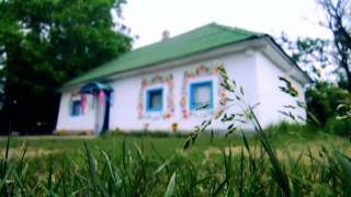 Petrykivka decorative painting as a phenomenon of the Ukrainian ornamental folk art [upl. by Dreyer868]