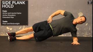 Side Plank Hold  PPL0001 [upl. by Orlene]