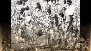 The cotton gins effect on slavery [upl. by Hospers]