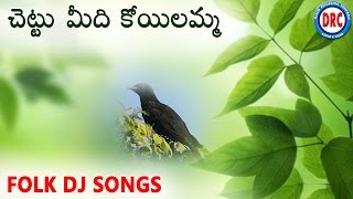 Chettu Midi Koyilamma  Telugu Folk Songs  Telangana Devotional Songs [upl. by Natividad777]