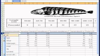 10 deskriptiv statistik grupperede data sumkurve i excel [upl. by Julie940]