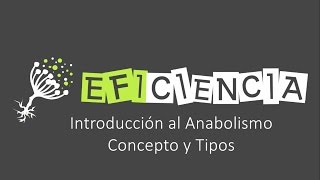 INTRODUCCIÓN AL ANABOLISMO Concepto y Tipos [upl. by Ynnaf]