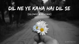 Dil ne yeh kaha hai dil se🎧slowedreverb udit narayan alka yagnikdhadkan lofislowedandreverb [upl. by Prosper]