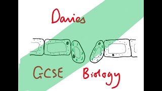 GCSE Biology 28 Food Tests Required Practical [upl. by Neibaf325]