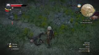 Lambert Death scene RARE witcher 3 [upl. by Burnard99]